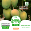 হাড়িভাঙ্গা আম-Haribhanga Mango